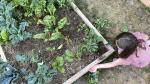 Buy Your Own: One Raised Garden Bed
