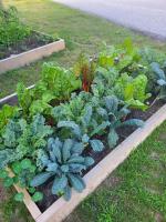 Buy Your Own: Two Raised Garden Beds